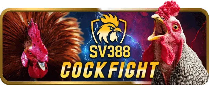 Ưu đãi chào mừng thành viên mới 88uu